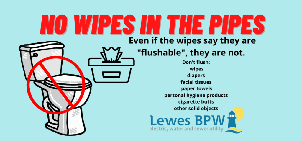No wipes in the pipes